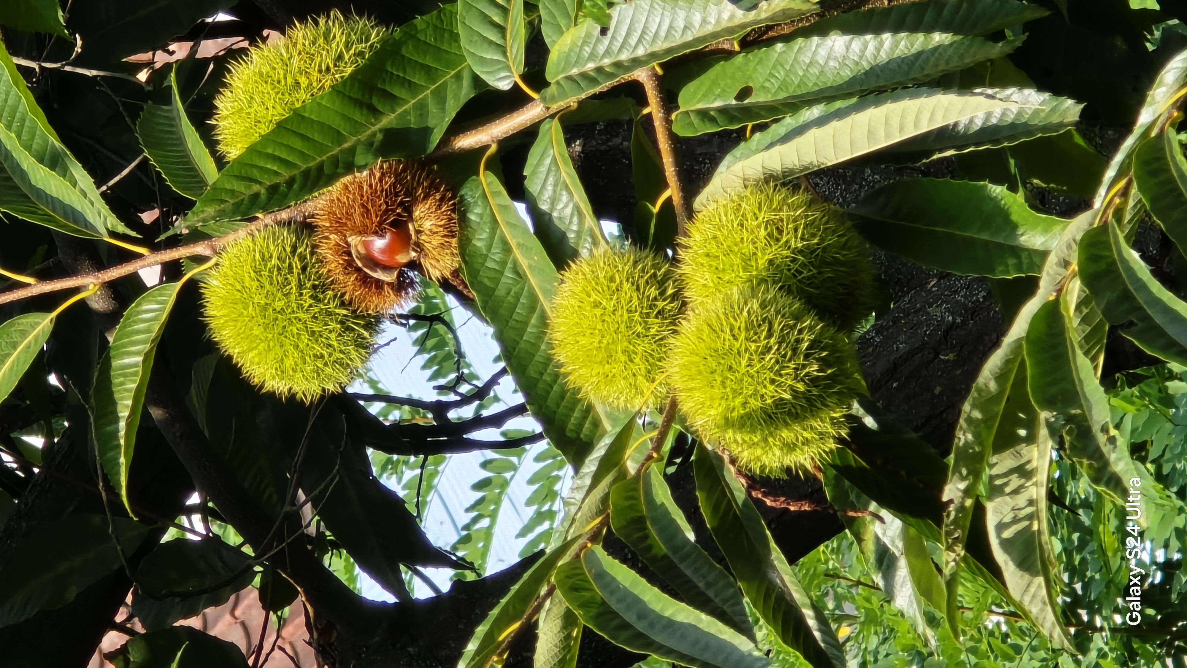 산악회 240907 북한산트레킹 이미지